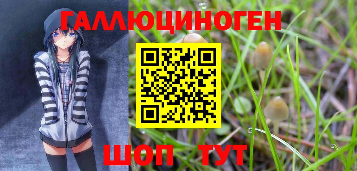 Галлюциногенные грибы GOLDEN TEACHER Протвино