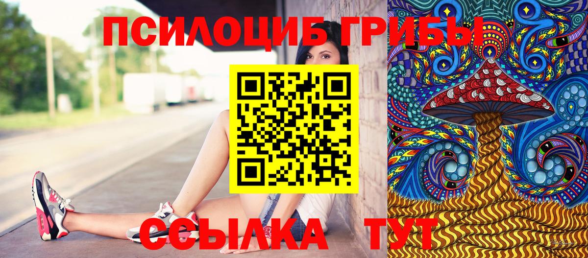 Протвино  Галлюциногенные грибы прущие грибы  Вход с VPN 